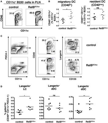 RelB+ Steady-State Migratory Dendritic Cells Control the Peripheral Pool of the Natural Foxp3+ Regulatory T Cells